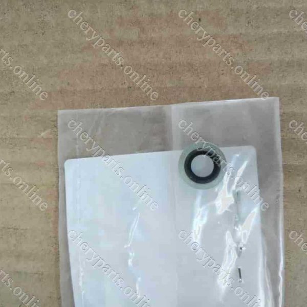 1509209-DF727A01 SEALING WASHER 179