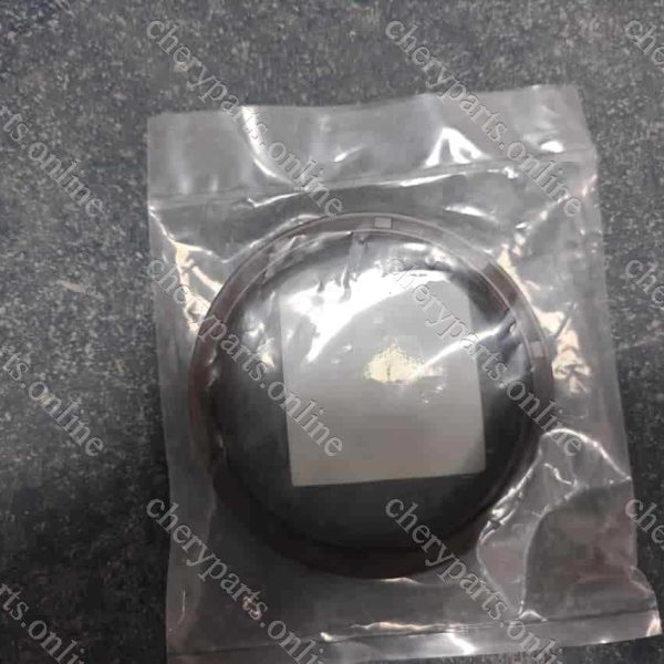 481H-1005030BA SHAFT SEALING RING 210