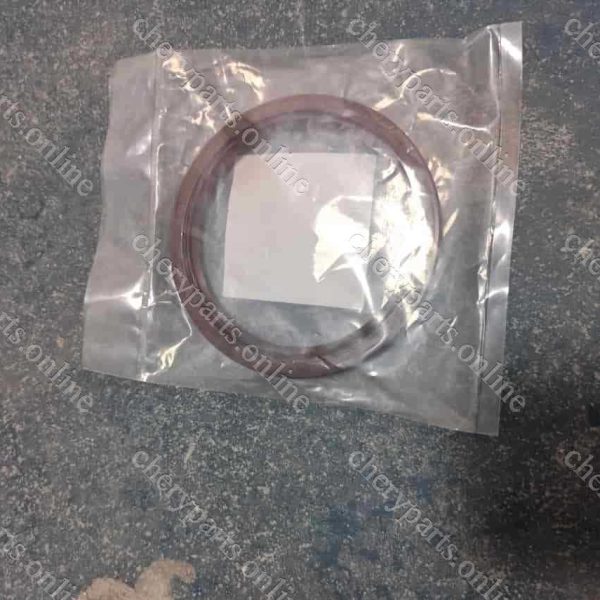 481H-1005030BA SHAFT SEALING RING 211
