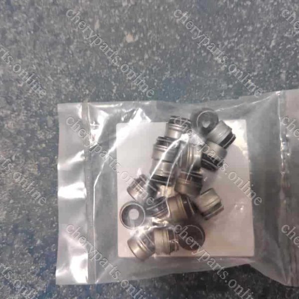 481H-1007020 VALVE SEALING 215