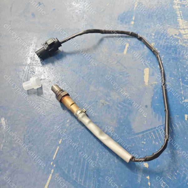 B21-1205310 OXYGEN SENSOR 247