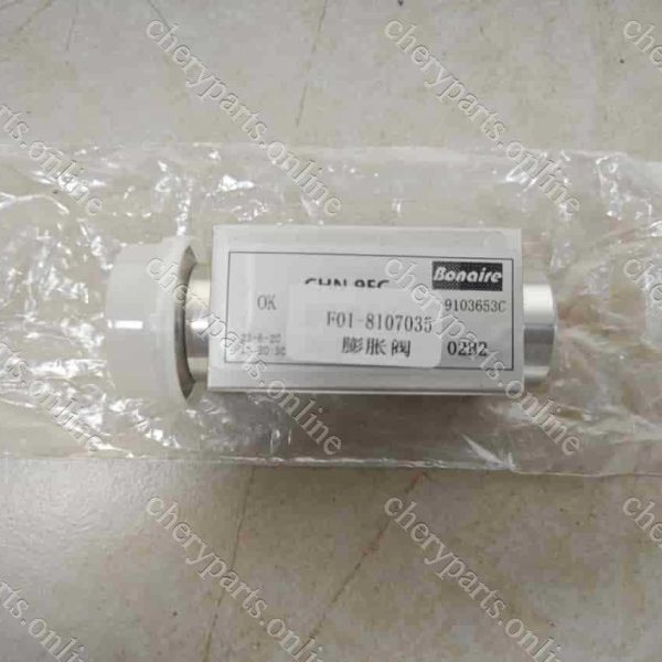 F01-8107035 EXPANSION VALVE 455