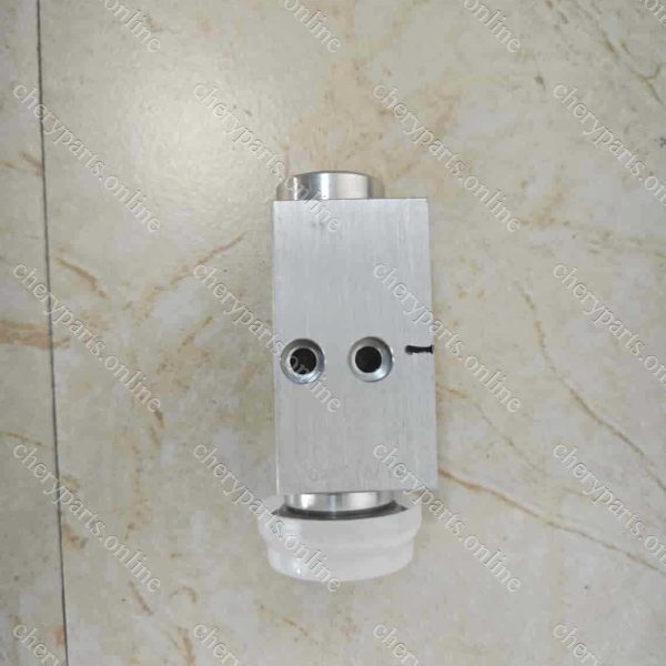 F08-8108011HD EXPANSION VALVE 612