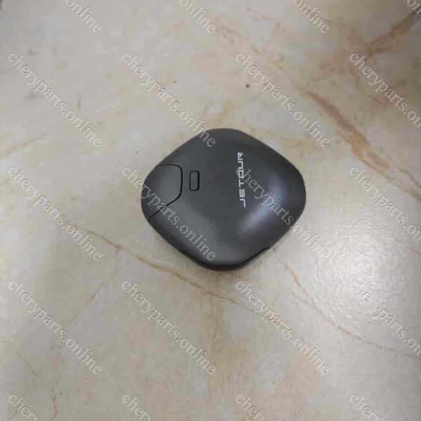 F16-6105380BJ GRAY-BALCK INTELLIGENT KEY ASSY 856
