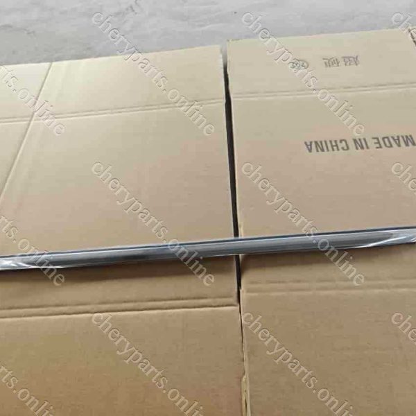 F18-6207220 TRIM STRIP-REAR DOOR RIGHT 1107