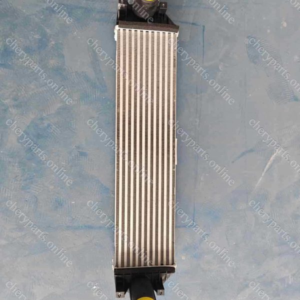 F20-1119120 INTERCOOLER 1164