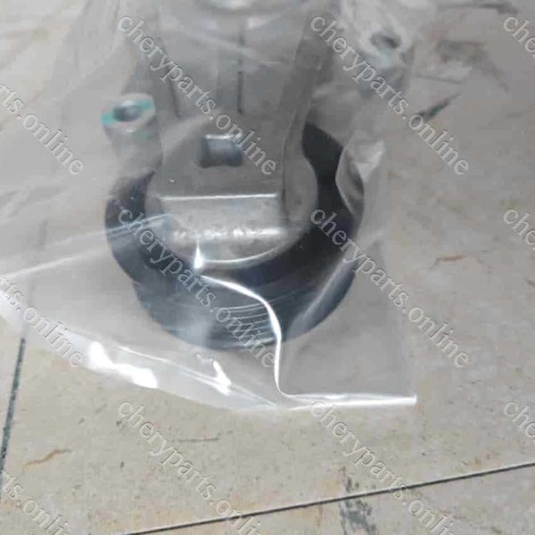 F3J12-1025010AB TENSIONER 1361