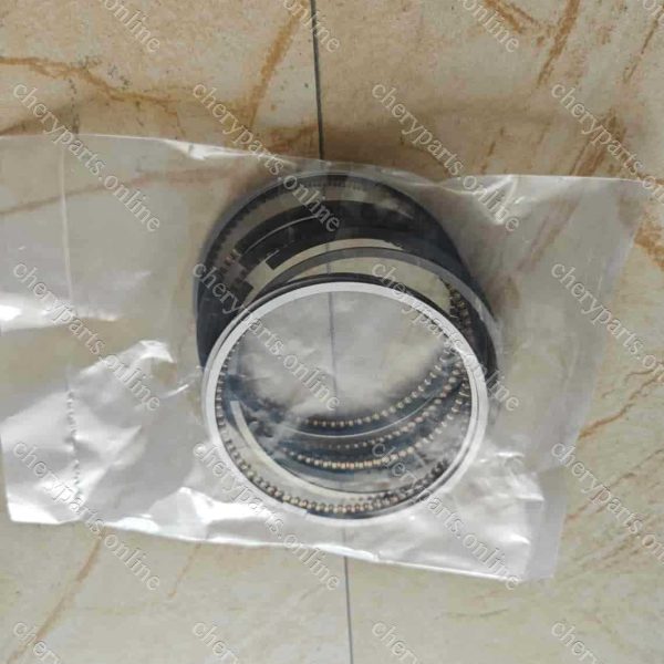 F4J16-BJ1004120 PISTON RING 1406